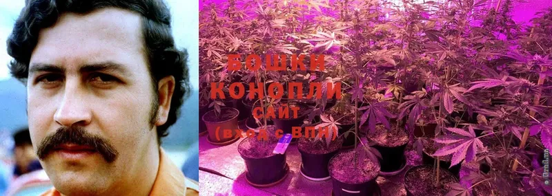 что такое наркотик  omg ТОР  площадка клад  Грязовец  Каннабис SATIVA & INDICA 